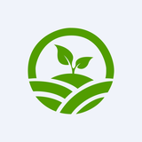 SOYB